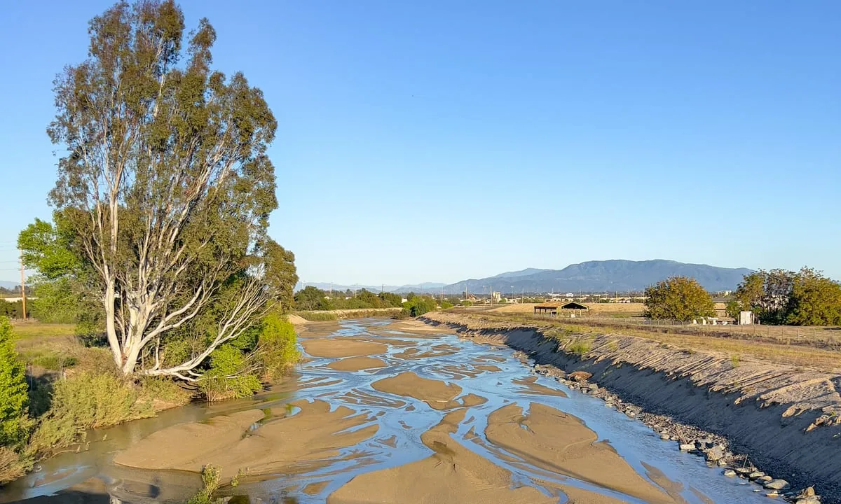 Murrieta Creek at Guava Street, Murrieta, California